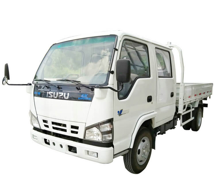 600P ISUZU Double Row Cargo Car