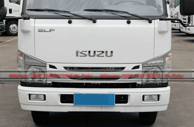 Superior Qauntity 2T -5Tons 100P ELF ISUZU Van Box Truck