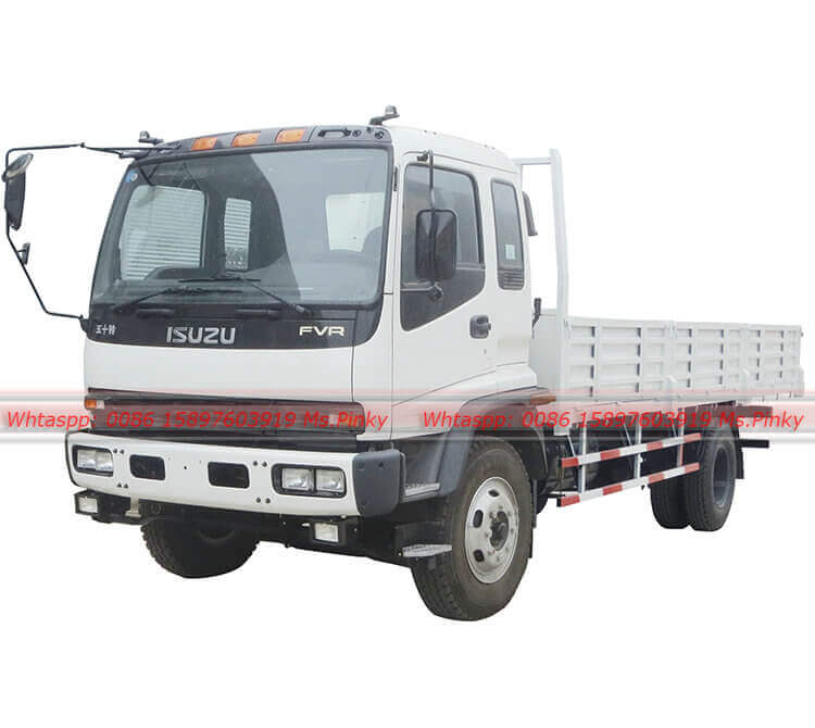Cargo Truck ISUZU Manufacture In China